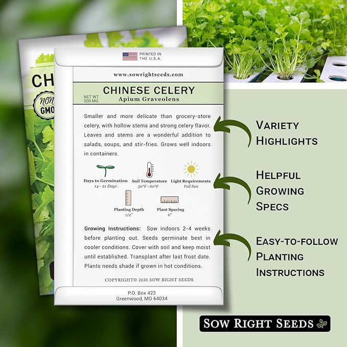 Sow Right Seeds - Chinese Celery Seeds for Planting - Non-GMO Heirloom Packet with Instructions to Plant and Grow a Home Vegetable Garden - Culinary and Compact Herb, Abundant Stalks (1)