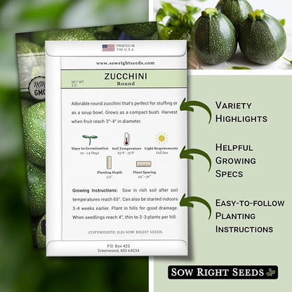 Sow Right Seeds - Round Zucchini Seed for Planting - Non-GMO Heirloom Packet with Instructions to Plant a Home Vegetable Garden - Unique Globe Squash - Summer Vining Variety (3)