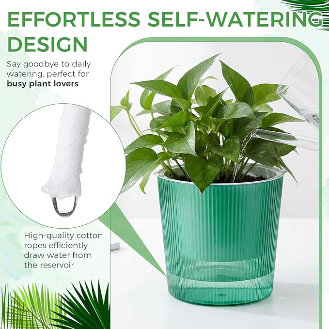 6 Pack Self Watering Pots for Indoor Plants Plastic Vertical Ribbed Semi Transparent Planters, Dual Layer Reservoir for Indoor Succulents Herbs Pothos(Green, White,6.5 x 5.9 Inch)