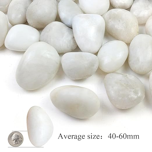 20LB White River Rocks - 2-3 inch High Polished Decorative Pebbles, Stones for Landscaping, Natural River Rocks for Outdoor Décor, Plants,Vase Filler,Fish Tank