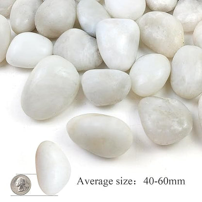 20LB White River Rocks - 2-3 inch High Polished Decorative Pebbles, Stones for Landscaping, Natural River Rocks for Outdoor Décor, Plants,Vase Filler,Fish Tank