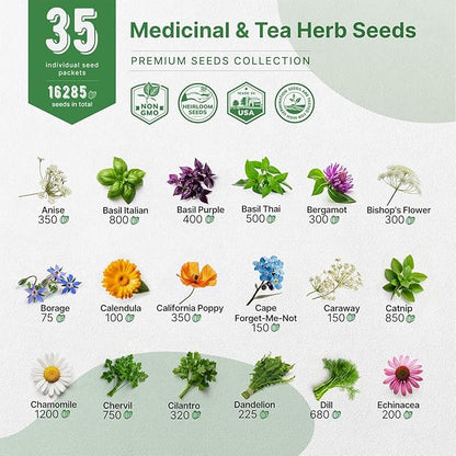 35 Medicinal & Tea Herb Seeds Variety Pack for Indoor & Outdoors. 16,335+ Non-GMO Heirloom Garden Seeds: Anise, Bergamot, Borage, Cilantro, Chamomile, Dandelion, Rosemary Seeds & More