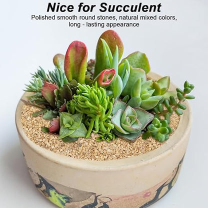 Succulent and Cactus Gravel Pebbles,Landscaping Pebbles,River Rocks,Garden Landscaping Stones,Gravel Filler for Home Decoration Flower Bed Fish Tank Plants Vases Succulents (Beige, 5 Pounds)