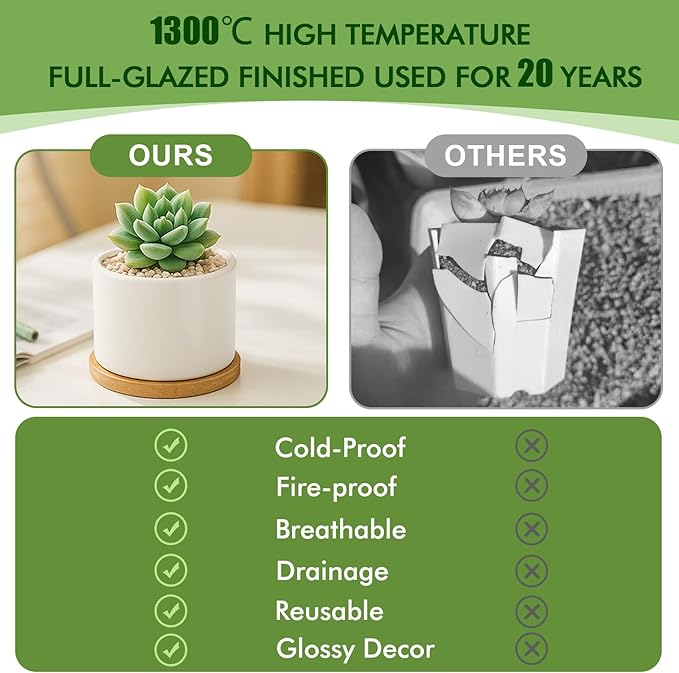 ZOUTOG Succulent Pots 3.1 Inch,Succulent Planters 12 Pack,Small Pots for Plants with Drainage and Tray,White Ceramic Flower Planters for Indoor Plants,Home,Office,Desk