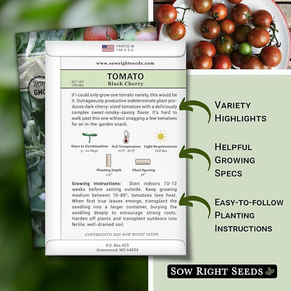 Sow Right Seeds - Black Cherry Tomato Seeds for Planting - Non-GMO Heirloom Packet with Instructions to Plant a Home Vegetable Garden - Tasty Snacking Variety, Start Indoors - Indeterminate (2)