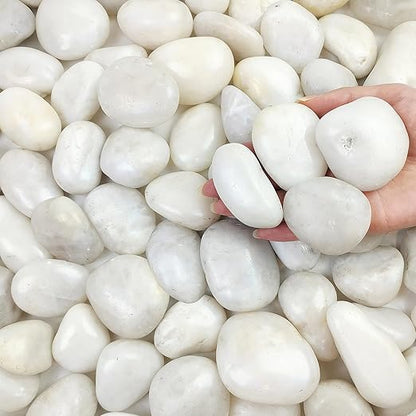 FANTIAN 40 lbs White River Rocks for Landscaping, 2-3 Inch Polished Pebbles for Indoor Plants, Decorative White Stones for Planters, Vase, Aquarium, Fish Tank and Garden