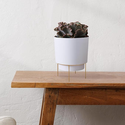 Bloem Hopson Decorative Resin Cachepot with Metal Stand, 6" Indoor and Outdoor Planter with Gold Metal Stand, White