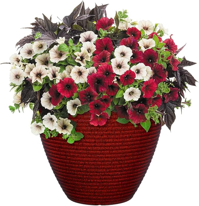 Classic Home and Garden Cali Modern Round Resin Planter for Indoor Outdoor Plants (13" Lava Red)