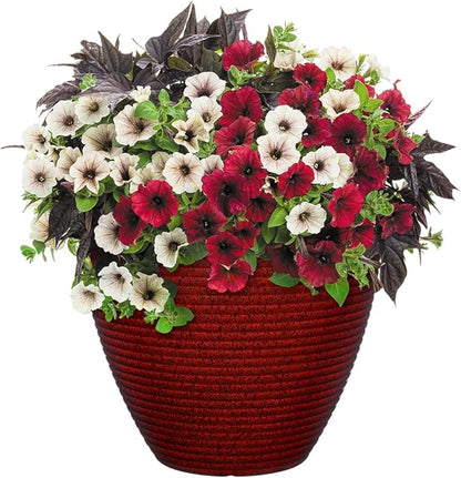 Classic Home and Garden Cali Modern Round Resin Planter for Indoor Outdoor Plants (13" Lava Red)