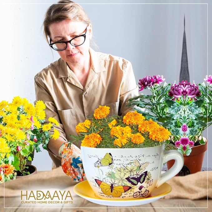 7.5” Round Ceramic Teacup Shape Planter Pot with Saucer for Succulents Orchid Herbs Cactus Indoor Houseplants Flowers for Home Garden and Event Decor Yellow Butterfly Garden