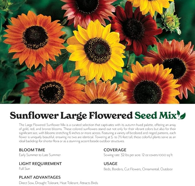 Grow Your Own Vibrant Annual and Perennial Wildflower Garden Seeds Mixture, Varieties for Pollinators and Spring Gardens - Large Colored Sunflower Mix, 1 lb