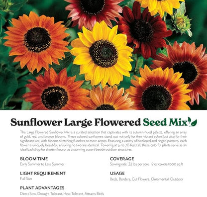 Grow Your Own Vibrant Annual and Perennial Wildflower Garden Seeds Mixture, Varieties for Pollinators and Spring Gardens - Large Colored Sunflower Mix, 1 lb