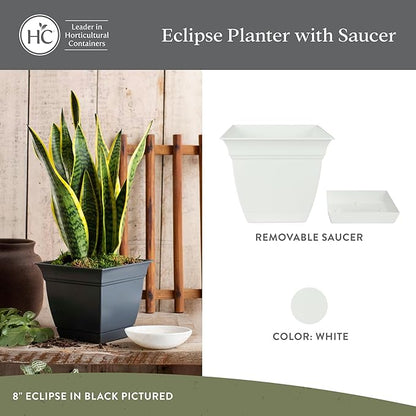 The HC Companies 6 Inch Eclipse Square Planter Pots with Drainage Holes & Attached Saucer, Lightweight UV-Resistant Plastic Indoor Outdoor Planters, 4-Pack Flower Pots for Garden & Home Decor, White