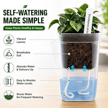 12 Pack 2.5" Self Watering Seed Starter Cups, Clear Mini Planters for Indoor Plants, Help Prevent Overwatering, Promote Healthy Growth for Seedlings, Cuttings & Small Plants, with 12 Labels