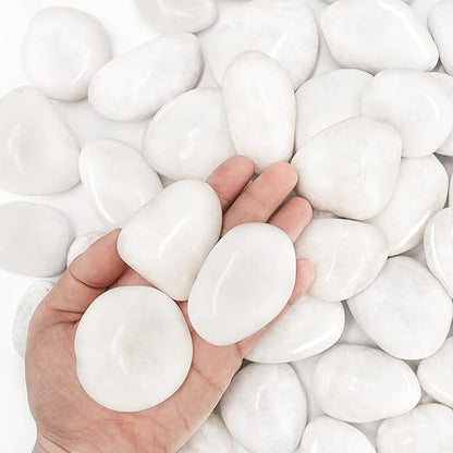 4lb White River Rocks for Plants, 1-3 Inch Pebbles for Indoor Plants, Polished Garden Rocks Outdoor Landscaping, Decorative Stones for Vases, Succulents, Aquarium, Walkways