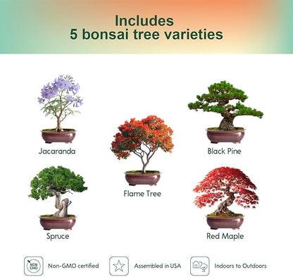 5 Pack Bonsai Tree Kit with Complete Tools, 5X Unique Seeds Bonzai Tree Live Kits, Complete Indoor Bonsai Starter Kit with Wooden Box, Perfect Christmas Garden Gift for Mom, Men, Women, Plant Lover