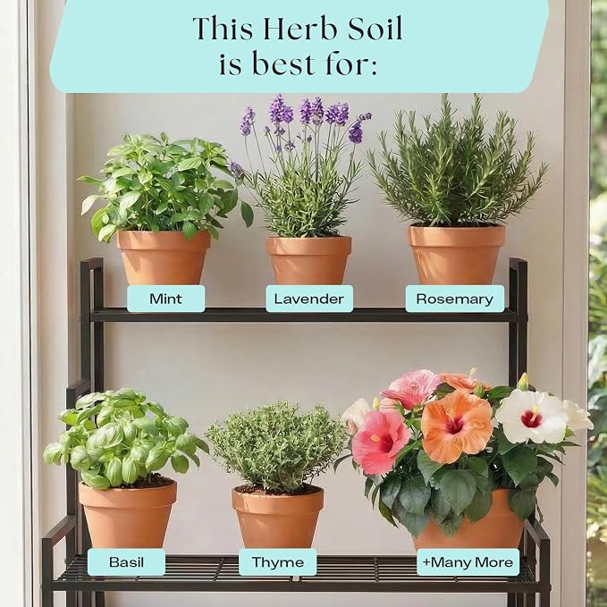 Rosy Soil Herb Mix - Organic Indoor and Outdoor Herb Soil - Biochar, Worm Castings, Mycorrhizae - Peat Free Potting Mix, Fast Draining - Basil Cilantro Lavender Thyme Mint Rosemary - 4qt