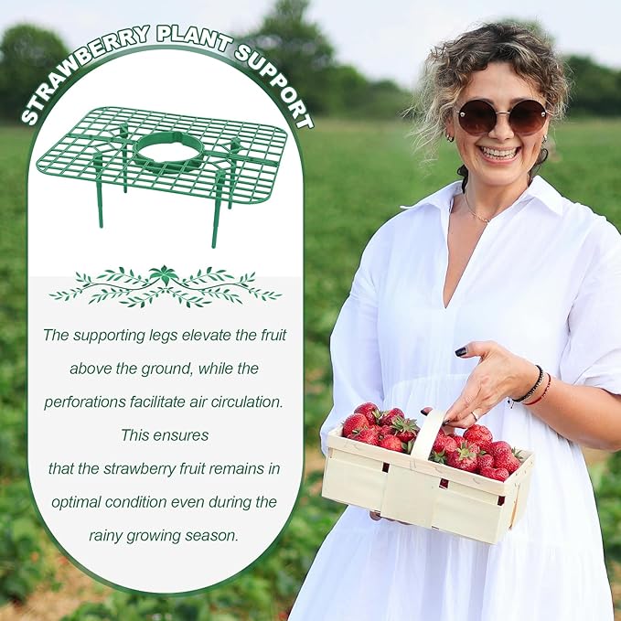5 Pack Strawberry Plant Support Square Strawberry Supports for Garden Green Holder Plastic Stand with 4 Sturdy Legs Risers Growing Racks Frame