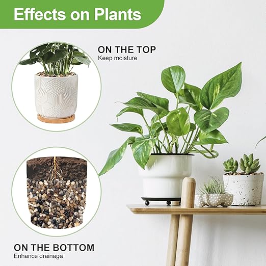 Pulovin 2.5 lbs Pebbles for Indoor Plants, Succulent, Bamboo, Vase, 3/8" Plant Rocks for Pots Indoor, Small River Rocks Decorative Pea Gravel, Highly Polished