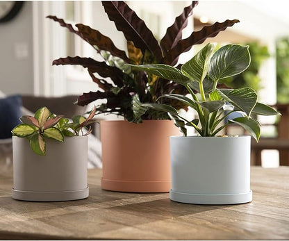 Bloem Mathers Planter w/Saucer Tray 8" Misty Blue (Pack of 3)