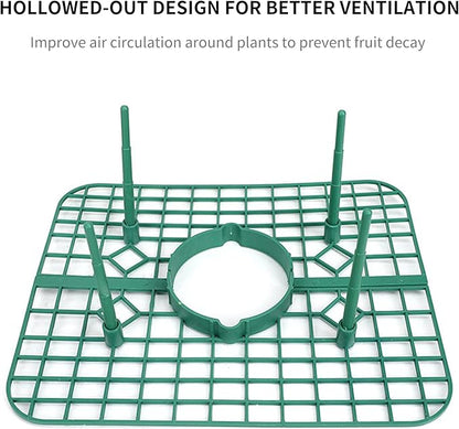 SooGree 5 Pack Strawberry Supports Garden Fruit Plant Cage Strawberry Holder Cradles Plastic Tray Keep Strawberries Off Rot and Dirt