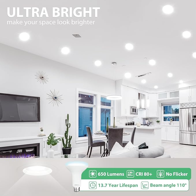 12 Pack BR30 LED Recessed Light Bulb, Dimmable Indoor Flood Light Bulbs CRI80 7W Equivalent 65W 5000K Daylight 650 Lumens, 15000 Lifetime Hours E26 Base LED Can Light Bulb, Flicker-Free