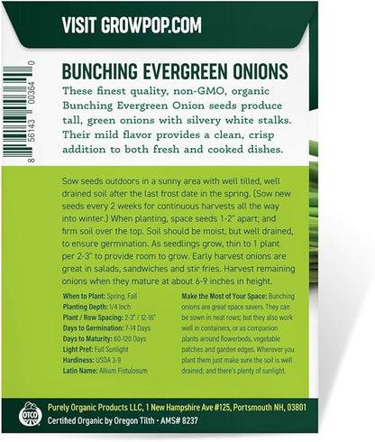 Organic Onion Seeds (Bunching Evergreen) - Approx 200 Seeds - USDA Organic, Non-GMO, Open Pollinated, Heirloom, USA Origin (Pack of 2)