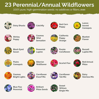 Eden Brothers Maryland Wildflower Mixed Seeds for Planting, 1 lb, 480,000+ Seeds with Shasta Daisy, Cornflower | Attracts Pollinators, Plant in Spring or Fall, Zones