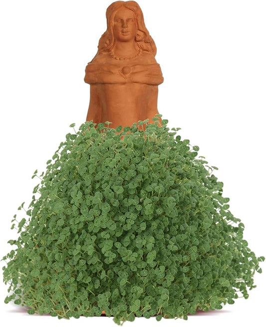 Chia Pet Princess with Seed Pack, Decorative Pottery Planter, Easy to Do and Fun to Grow, Novelty Gift, Perfect for Any Occasion