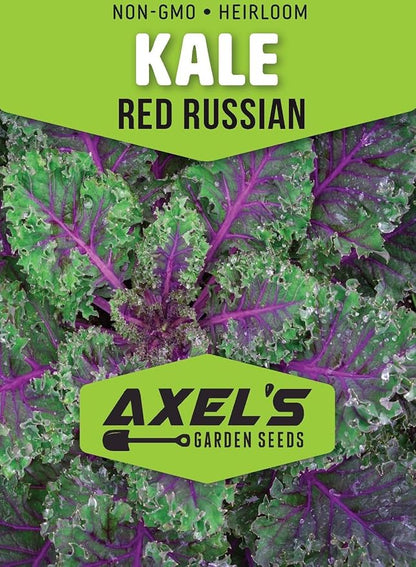 Kale Seeds for Planting - Plant & Grow Heirloom Kale Varieties Home Outdoor Garden – Easy Grow Planting Packet Instructions Included, Great Gardening Gift – 3 Packets of Each Variety