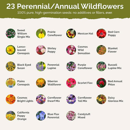 Eden Brothers Nebraska Wildflower Mixed Seeds for Planting, 1/4 lb, 120,000+ Seeds with Candytuft, Blanket Flower | Attracts Pollinators, Plant in Spring or Fall, Zones
