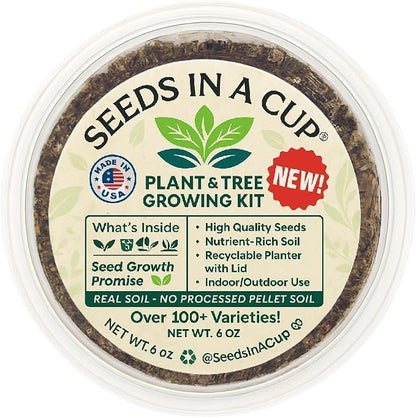 Coffee Arabica Tree Seed Starter Grow Kit (Real Houseplant) - Premium Nutrient-Rich Soil (No Discs) & Recyclable Planters - USA-Made Indoor Gardening Gift for Coffee Lovers & Baristas