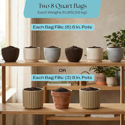 Rosy Soil Houseplant Potting Soil - 2 x 8 qrt, Organic Indoor Potting Mix with Biochar and Worm Castings for Monstera, Pothos, Tropical Indoor Plants - Peat Free - 8qt, Pack of 2