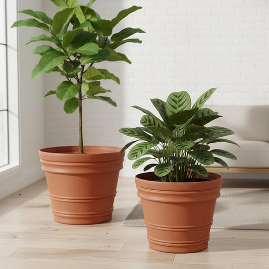Bloem Rolled Rim 22" Round Planter Pot - Terra Cotta Resin Indoor or Outdoor Gardening Planter with Knockout Drainage, 2-Pack