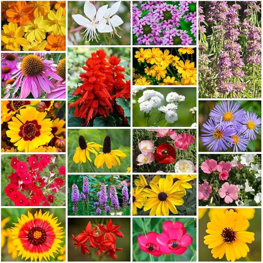 Grow Your Own Vibrant Annual and Perennial Wildflower Garden Seeds Mixture, Varieties for Pollinators and Spring Gardens - Southeast Regional Mix, 25 lbs