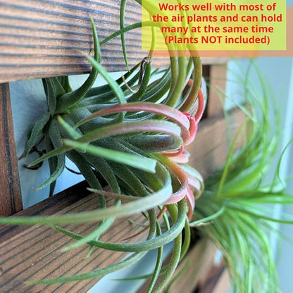 ShopLaLa Wall Planter - Hanging Wooden Wall Planter for Indoor Outdoor Plants, Vertical Garden, Plant Wall Mount Planter, Air Plant Succulent Holder for Flower Pot Display Hanger Frame 47.2" (120cm)
