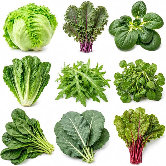 Salad Greens Variety Pack Seeds – 9 Heirloom Leafy Green Vegetable Seeds | Lettuce Kale Spinach Arugula Collards Beet Greens Mustard Cress for Raised Beds Containers Garden