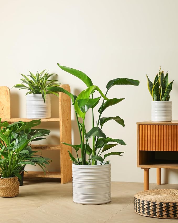 Fayoula Ceramic Planter, 10+8+6 Inch Plant Pots, Modern Striped Indoor/Outdoor Flower Pots for Succulents, Herbs, Home Office & Patio - Includes Mesh Pads & Saucer, Set of 3 ﻿