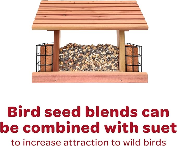 Kaytee Wild Bird Finch Food Blend, 3 lb