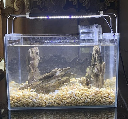 AWXZOM Natural Dragon Rock Carefully Selected Mixed Sizes, Decorative Aquarium Rocks, Aquarium Stones for Fish Tank (7.1lb-Large)