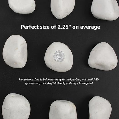 40 lbs White Polished Decorative Stones, 2-3 Inch Polished Rocks, Perfect for Outdoor Gardens, Pathways, Potted Plants, Vase Fillers, and Home Decor (Pure White, Weight: 40 LB)