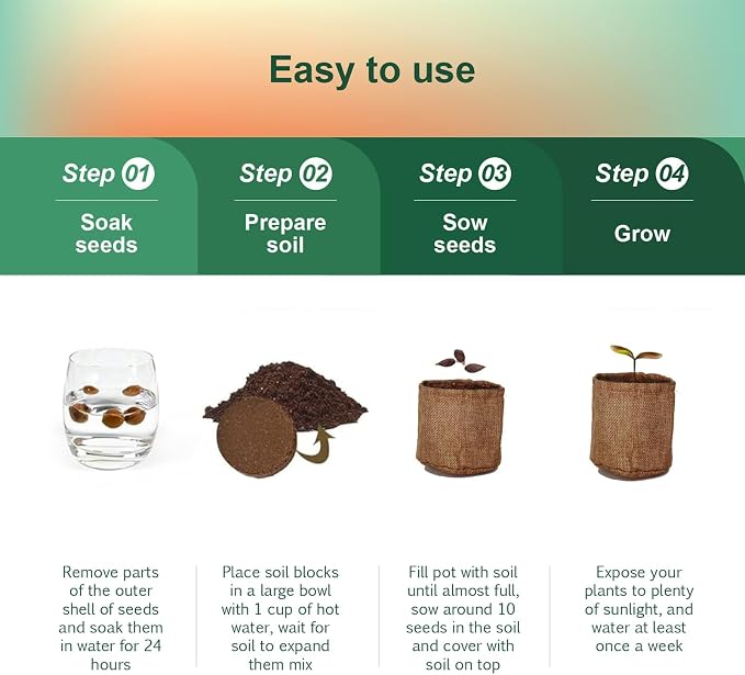 5 Pack Bonsai Tree Kit with Complete Tools, 5X Unique Seeds Bonzai Tree Live Kits, Complete Indoor Bonsai Starter Kit with Wooden Box, Perfect Christmas Garden Gift for Mom, Men, Women, Plant Lover