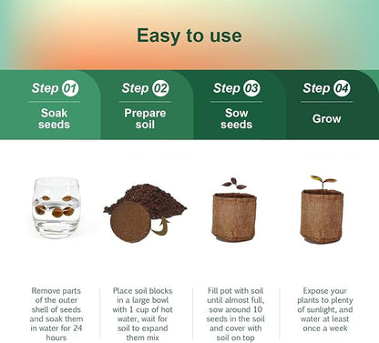 5 Pack Bonsai Tree Kit with Complete Tools, 5X Unique Seeds Bonzai Tree Live Kits, Complete Indoor Bonsai Starter Kit with Wooden Box, Perfect Christmas Garden Gift for Mom, Men, Women, Plant Lover