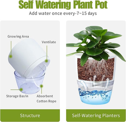 Oliz 6 Inch Self Watering Plastic Plant Pots for Indoor Plants - 3 Pack White Orchid Planters with Wick Ropes & Drainage Holes, Modern Decorative Garden Pots with Water Reservoir