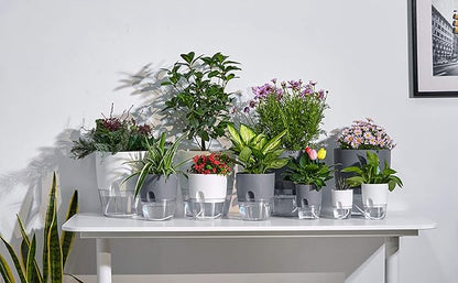 Self Watering Pots for Indoor Plants, 5 Pack 6/4.1/3.2 Inch Flower Pot Modern Decorative Plastic Planter with Extra Large Water Storage for All House Plants, Flowers, Herbs(White)