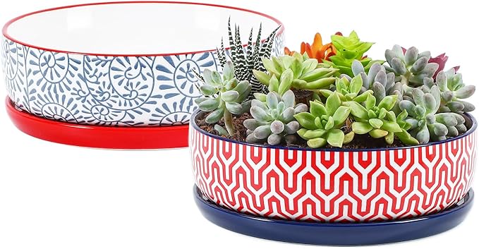 Selamica Ceramic Succulent Pots, Shallow Succulent Planters with Drainage Hole & Saucer, Indoor Plant Pots for Cactus, Home Decor，Assorted Colors,8 inch，Set of 2