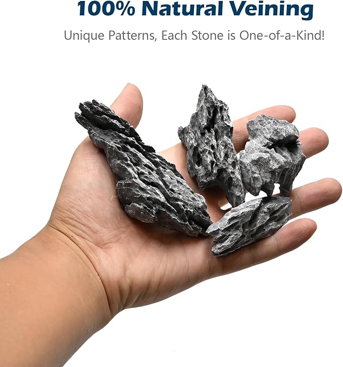 Natural Rocks Seiryu Stone 1-2 Inches Decorative Rocks for Fairy Gardens,Miniature Landscaping,Bonsai,DIY Crafts, Aquariums & Reptile Terrariums-2lb