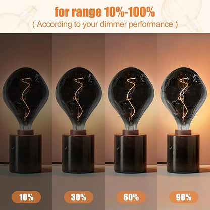 SD LUX Oversized Vintage LED Light Bulbs 5W, Medium Base E26, Giant Edison Bulb Large Decorative Bulb, Huge Edison Light, Dimmable 200LM(15W Equi) Pendant Lighting Warm White 2200K,1 Pack (A165-Smoke)