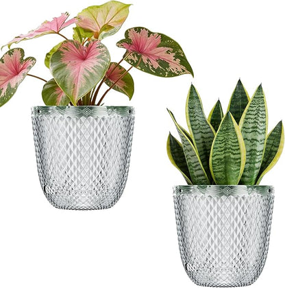 QCQHDU 2 Pack Self Watering Pots, 5.7 Inch Flower Pots with Drainage Holes and Water Filling Port, Plastic Garden Planter for Indoor Outdoor Plants (Clear)