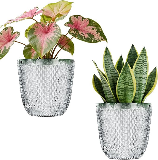 QCQHDU 2 Pack Self Watering Pots, 5.7 Inch Flower Pots with Drainage Holes and Water Filling Port, Plastic Garden Planter for Indoor Outdoor Plants (Clear)